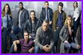 Chicago P.D. Cast Member Dies In Real Life: A Tribute To Their Legacy