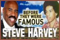 Unveiling The Life And Journey Of Harvey Steve: A Comprehensive Biography